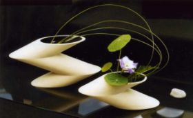 zickizacki (1).jpg